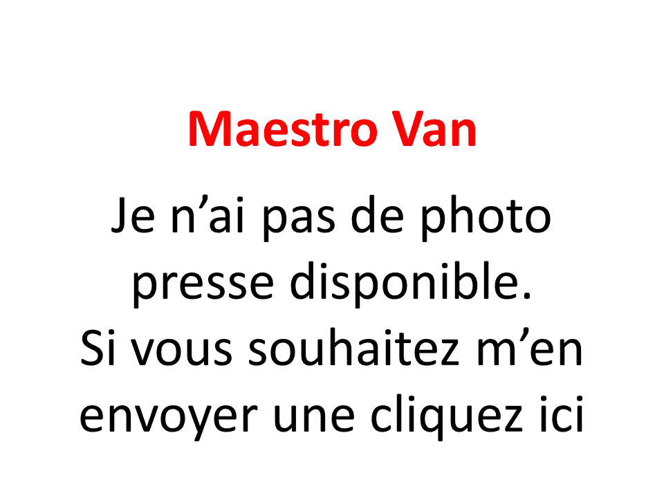 Rover Maestro Van 1989-1994